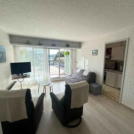 아파트 2 Pieces Avec Terrasse Privative, Animaux Admis - Fr-1-487-332 *